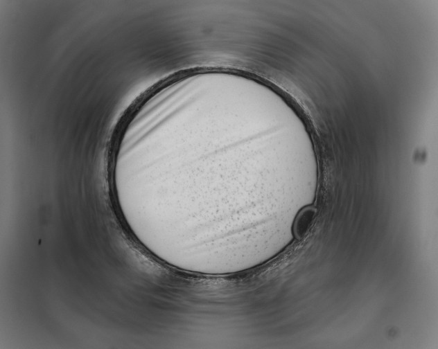 X0000101201120200807251019