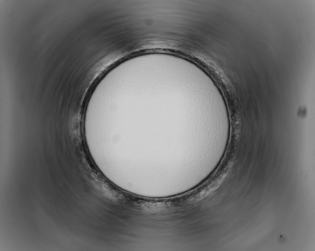 X0000101201121200807251019