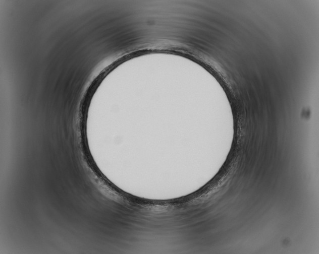 X0000101201122200807251019