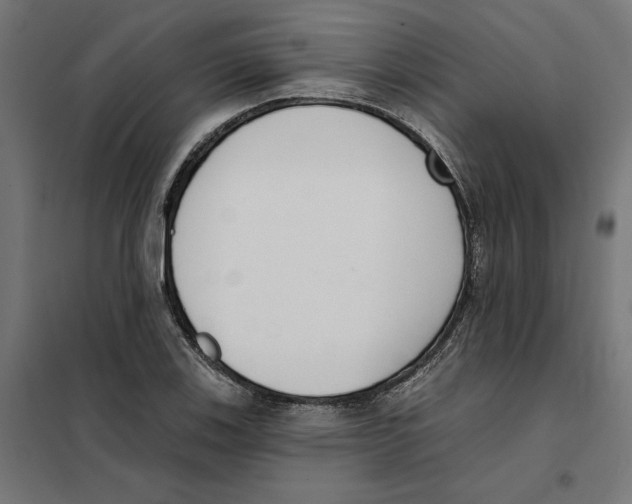 X0000101201123200807251019