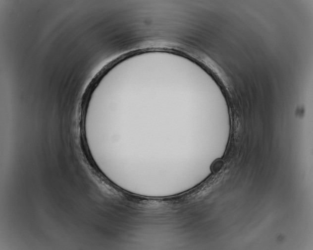 X0000101201124200807251019