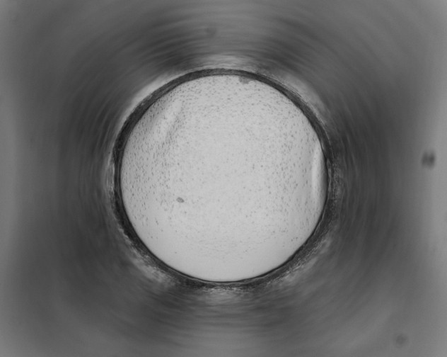 X0000101201125200807251019