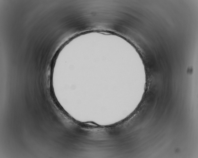 X0000101201126200807251019