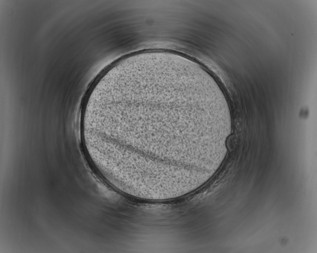 X0000101201127200807251019