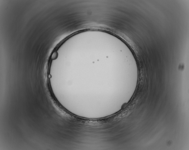 X0000101201128200807251020