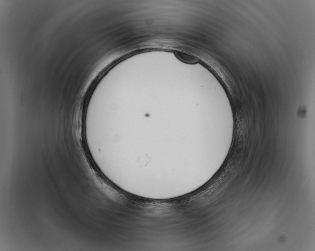 X0000101201131200807251020