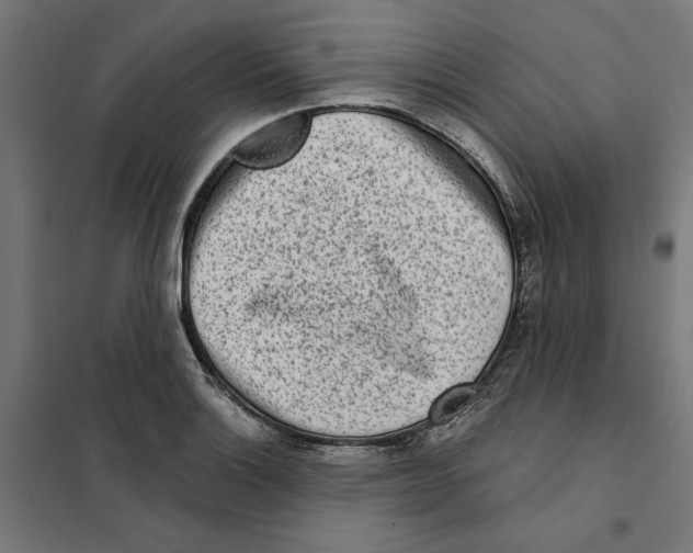 X0000101201132200807251020