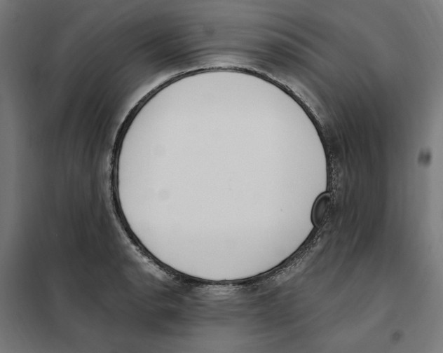 X0000101201134200807251020