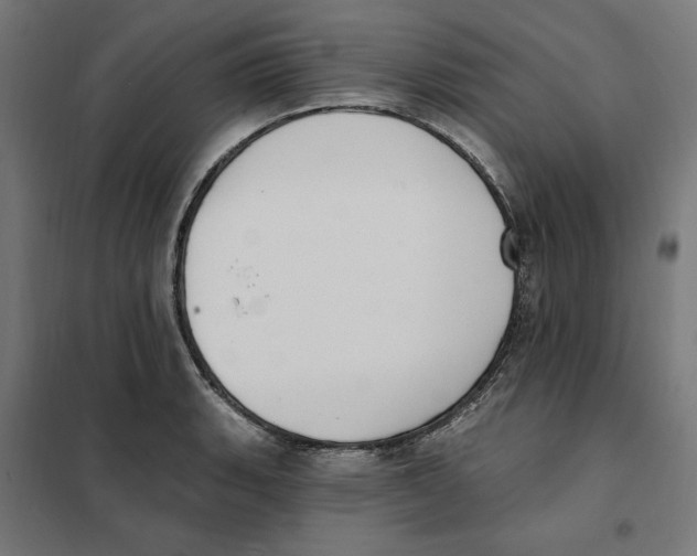 X0000101201135200807251020