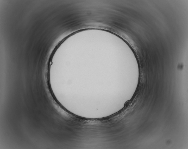 X0000101201136200807251020