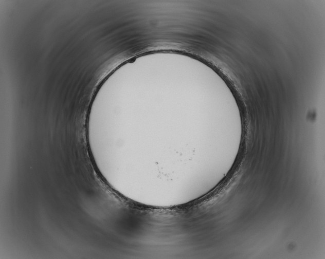 X0000101201137200807251020