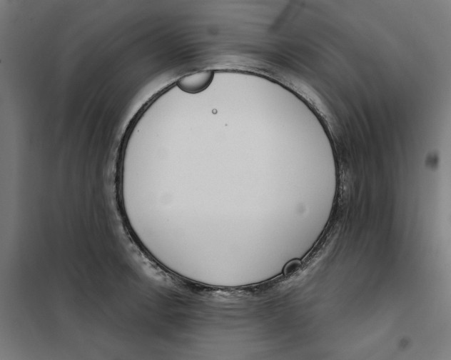 X0000101201138200807251020