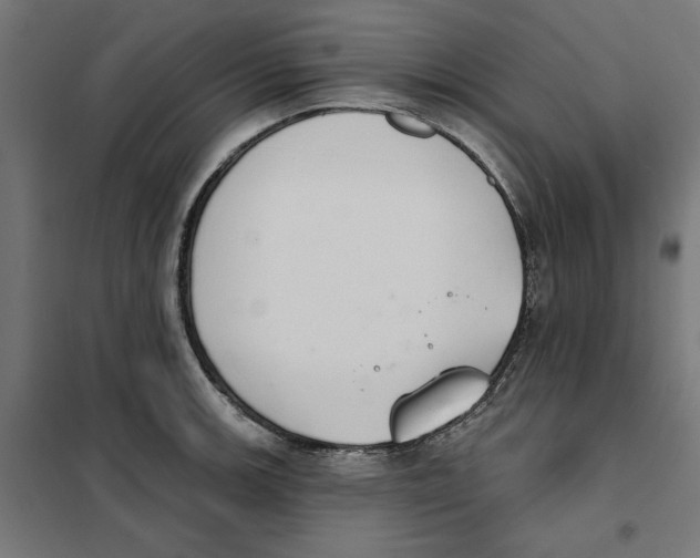 X0000101201139200807251020