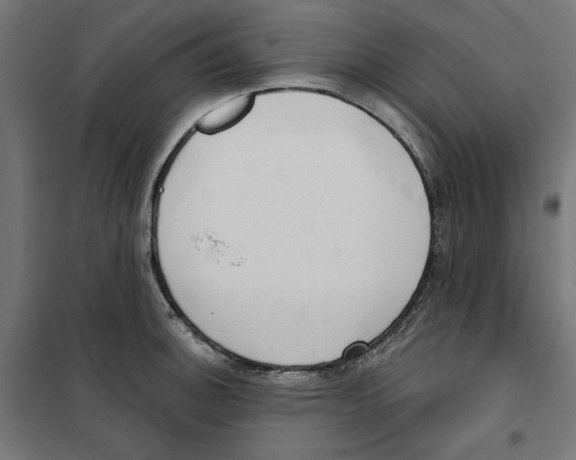 X0000101201140200807251020