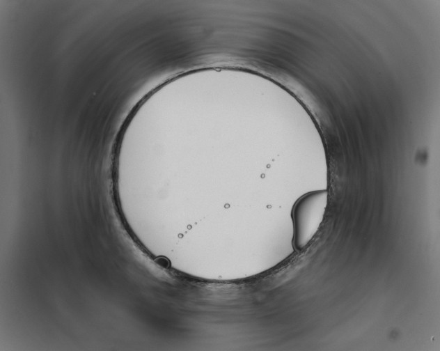 X0000101201142200807251020