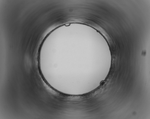 X0000101201143200807251020