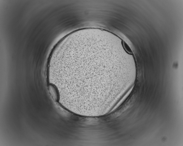 X0000101201144200807251020