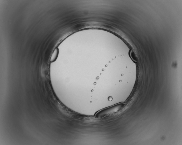 X0000101201145200807251020