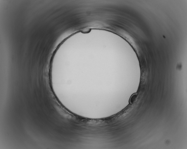 X0000101201146200807251020