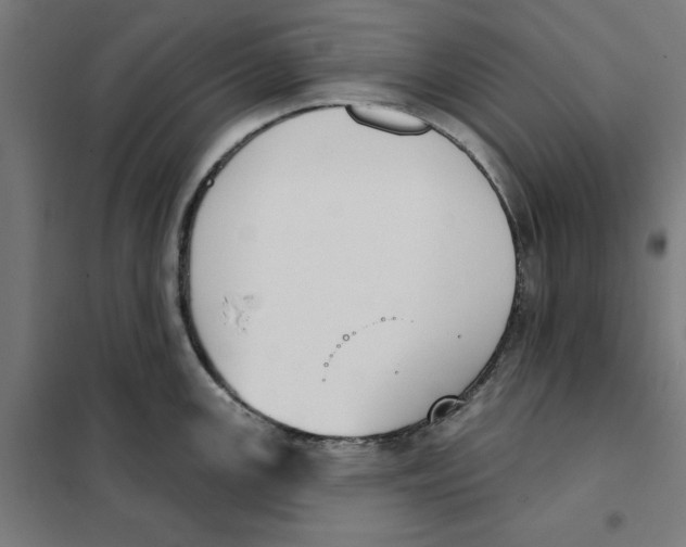 X0000101201147200807251020