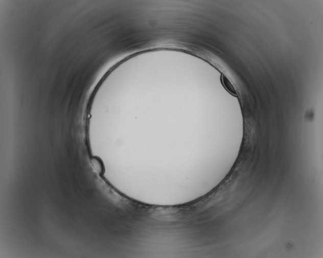 X0000101201148200807251020