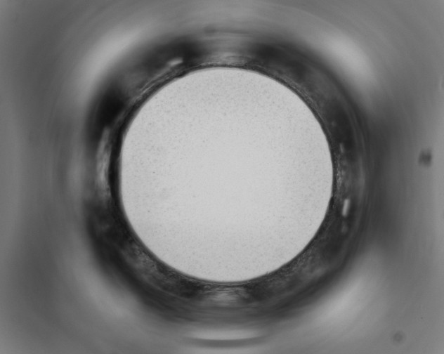 X0000101201150200807251020