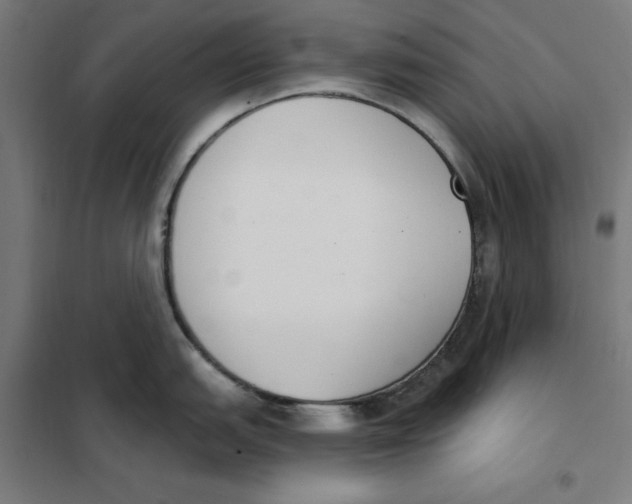 X0000101201151200807251020