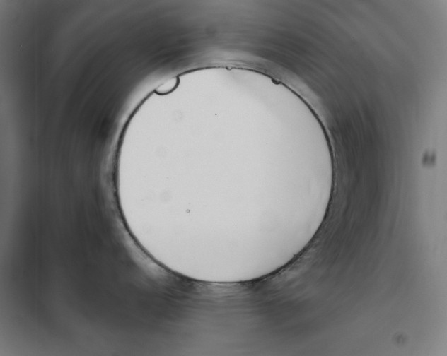 X0000101201152200807251020