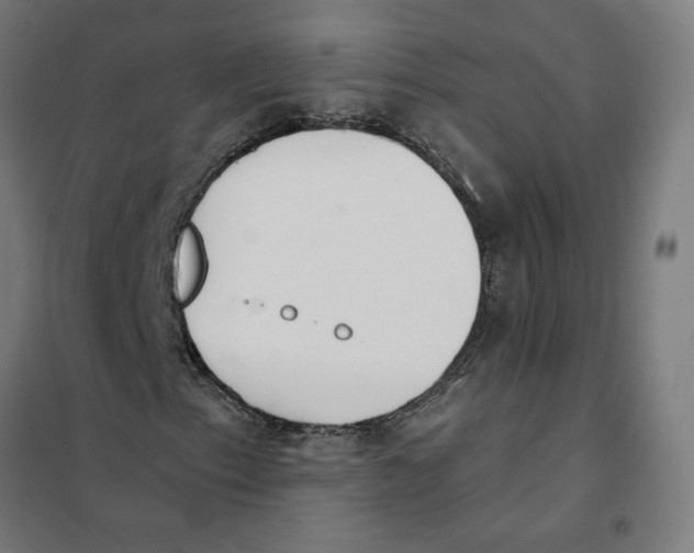 X0000101201153200807251019