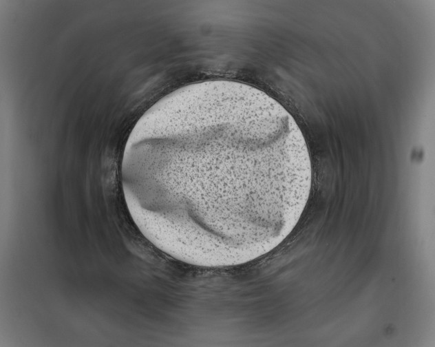 X0000101201154200807251019