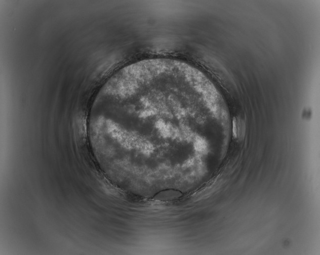 X0000101201155200807251019