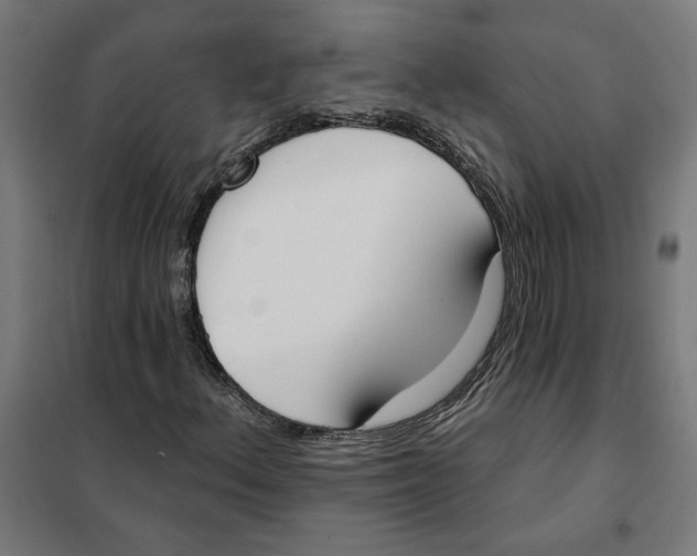 X0000101201156200807251019