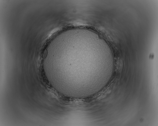 X0000101201157200807251019