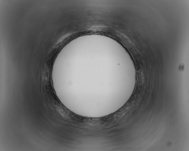 X0000101201158200807251019