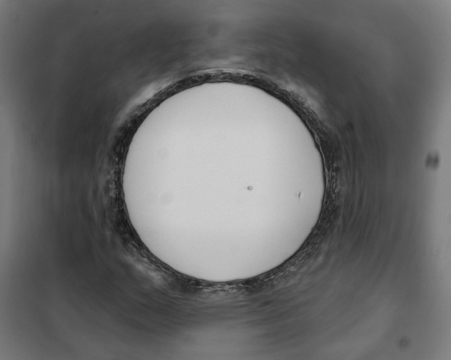 X0000101201159200807251019