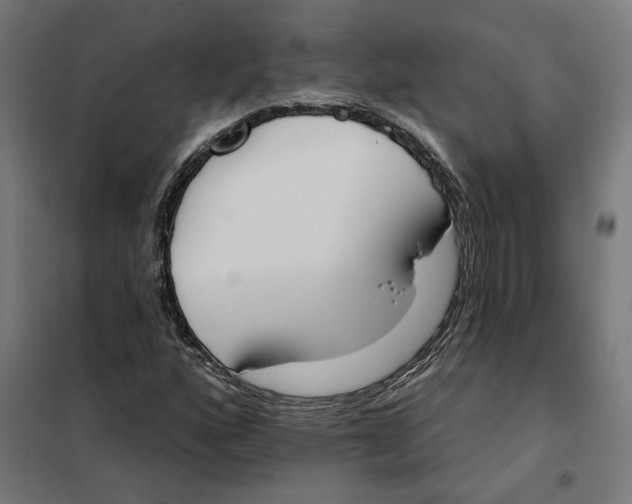 X0000101201160200807251019