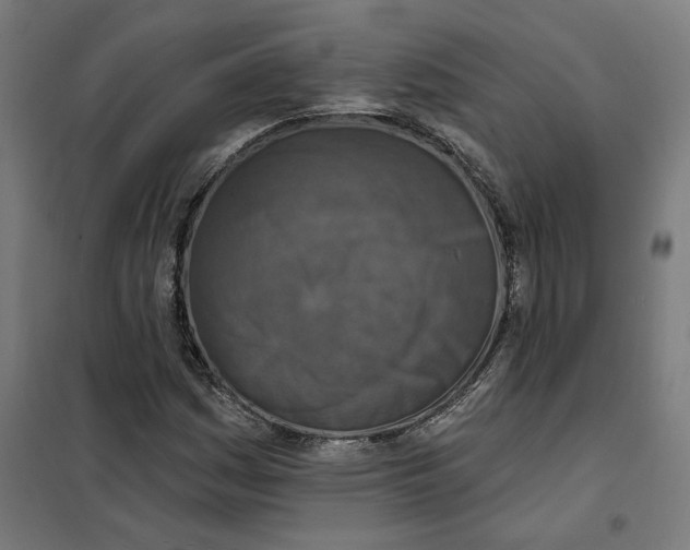 X0000101201161200807251019