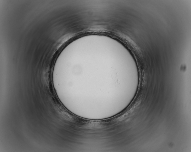 X0000101201162200807251019