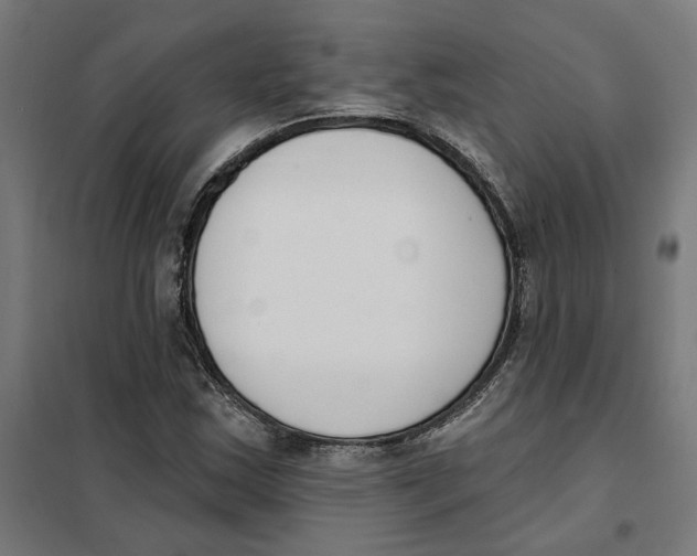 X0000101201163200807251019