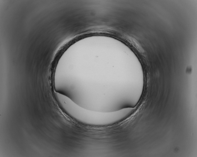 X0000101201164200807251019