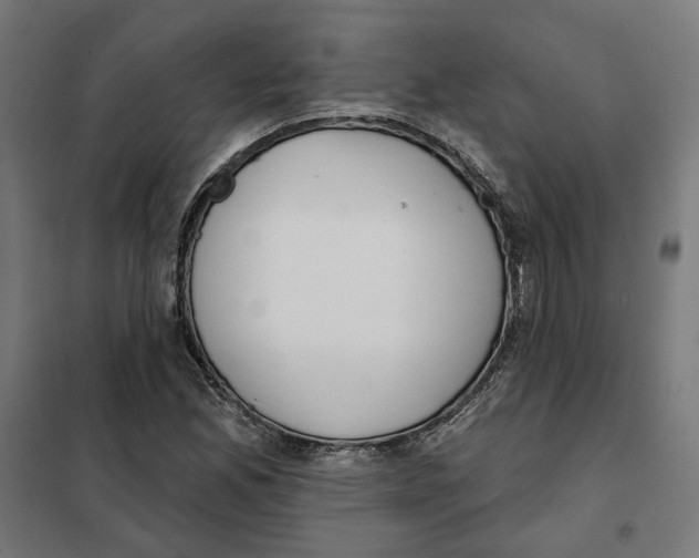 X0000101201165200807251019