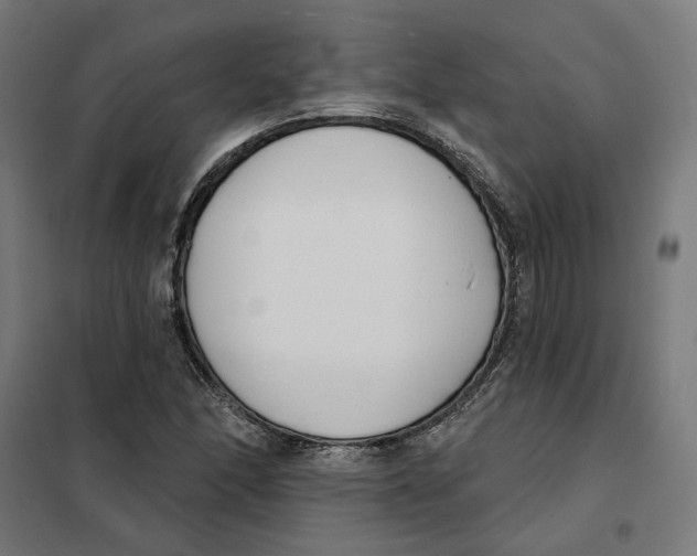 X0000101201166200807251019