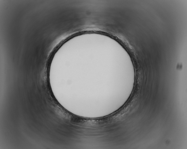 X0000101201167200807251019