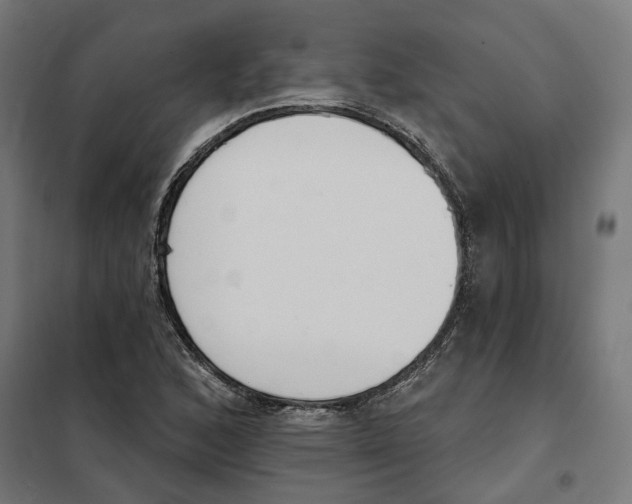 X0000101201168200807251019