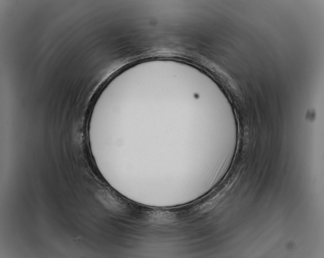 X0000101201170200807251019