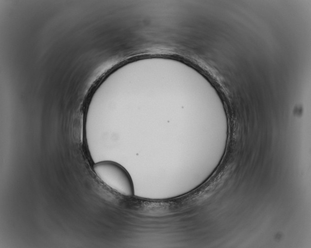 X0000101201171200807251019