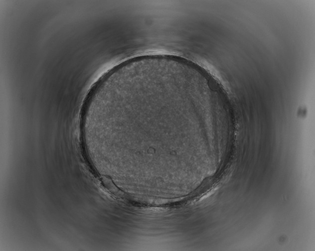 X0000101201173200807251019