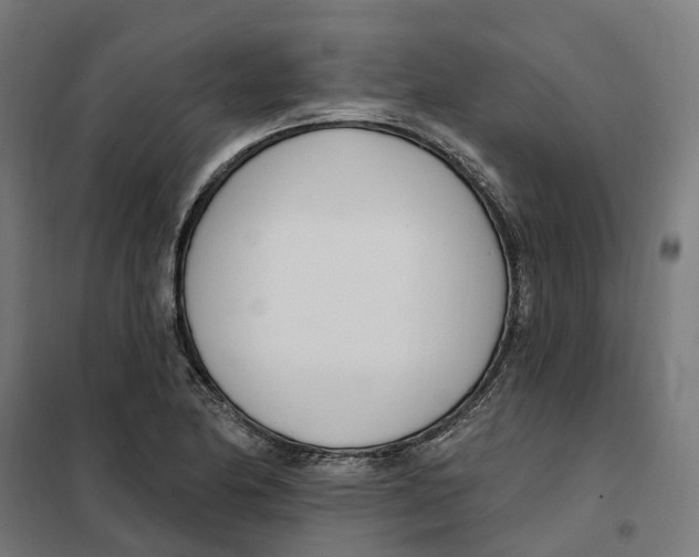 X0000101201174200807251019