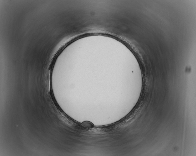 X0000101201175200807251019