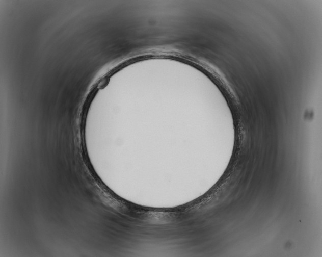 X0000101201176200807251019